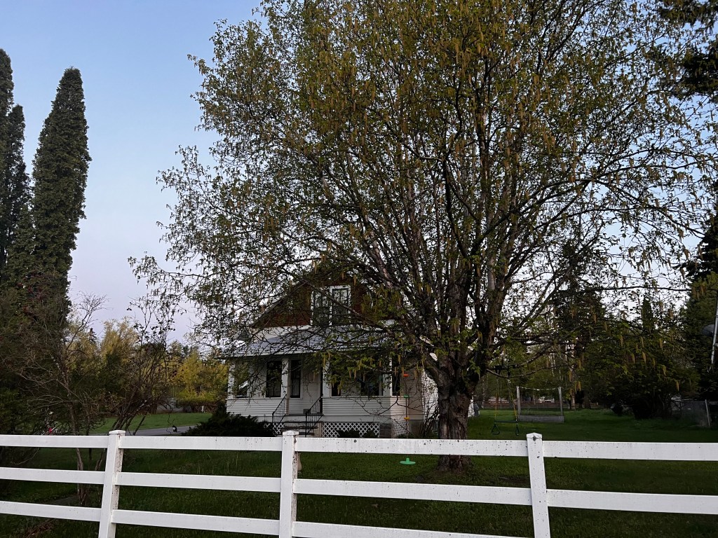 Letting Go: The Journey to Discovering Who We Truly&nbsp;Are