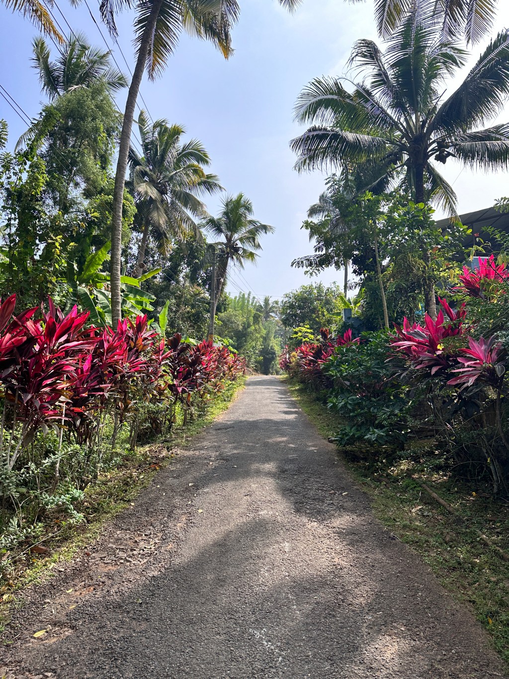 Transformative Power of&nbsp;Gratitude